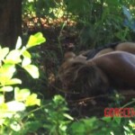 Woman with criminal background found dead