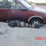 Woman's body wrapped in plastic found dumped on street