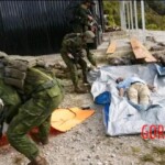 American pilot murdered by Papuan separatists