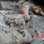 Bombing of Minab school and death of dozens children