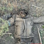 Decomposing bodies of Ukrainian Soldiers
