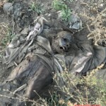 Decomposing bodies of Ukrainian Soldiers