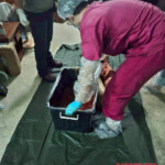 Dismembered woman found in Bangkok apartment