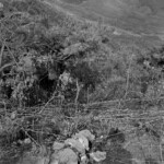 Fallen Chinese soldiers in Korean War