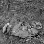 Fallen Chinese soldiers in Korean War