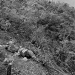 Fallen Chinese soldiers in Korean War