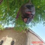 Killing and postmortem mutilation of Nigerian gang leader