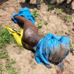 Killing and postmortem mutilation of Nigerian gang leader