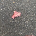 Man torn to pieces in traffic accident