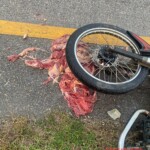 Man torn to pieces in traffic accident