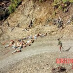 Papuan separatists massacred group of workers