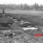 Photos of Nemmersdorf massacre