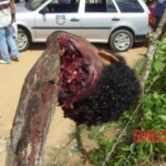 Rapist beheaded by enraged mob in act of vigilante justice