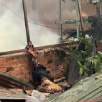 Scrapyard owner torn apart in deadly explosion