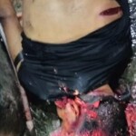 Several people killed in gang shootout
