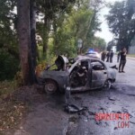 Six people burned alive after car crashes into tree