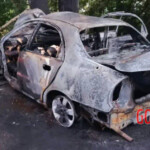 Six people burned alive after car crashes into tree