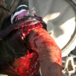 South Ossetia war in photos