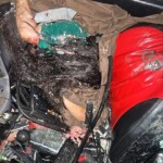 Three police officers killed in truck crash