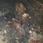 Two Iraqi militant leaders killed in U.S. drone strike