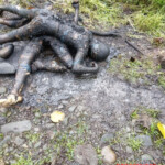 Two criminals burned by enraged mob
