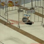 14-year-old girl survived fall from fourth floor
