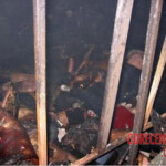 Bangkok nightclub fire leaves 67 dead
