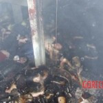 Bangkok nightclub fire leaves 67 dead