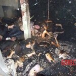Bangkok nightclub fire leaves 67 dead