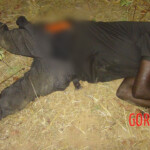 Christian village attacked by ISWAP