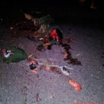 Deadly aftermath of operation to capture Maduro
