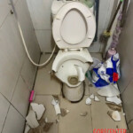 Deep cut caused by improper toilet use