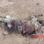 Dozens of bodies of dead Malian soldiers found in desert