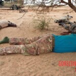 Dozens of bodies of dead Malian soldiers found in desert