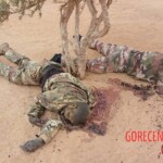 Dozens of bodies of dead Malian soldiers found in desert