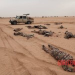 Dozens of bodies of dead Malian soldiers found in desert
