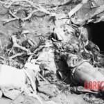 Fallen Japanese soldiers in Battle of Iwo Jima