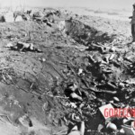 Fallen Japanese soldiers in Battle of Iwo Jima