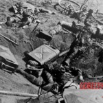 Fallen Japanese soldiers in Battle of Iwo Jima