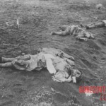 Fallen Japanese soldiers in Battle of Iwo Jima