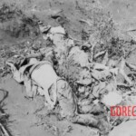 Fallen Japanese soldiers in Battle of Iwo Jima