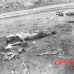 Fallen Japanese soldiers in Battle of Iwo Jima