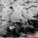 Fallen Japanese soldiers in Battle of Iwo Jima