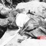 Fallen Japanese soldiers in Battle of Iwo Jima