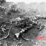 Fallen Japanese soldiers in Battle of Iwo Jima