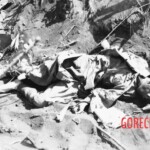 Fallen Japanese soldiers in Battle of Iwo Jima