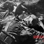 Fallen Japanese soldiers in Battle of Iwo Jima