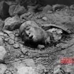 Fallen Japanese soldiers in Battle of Iwo Jima