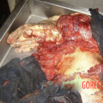 Farmer completely crushed by agricultural machinery