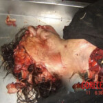 Farmer completely crushed by agricultural machinery